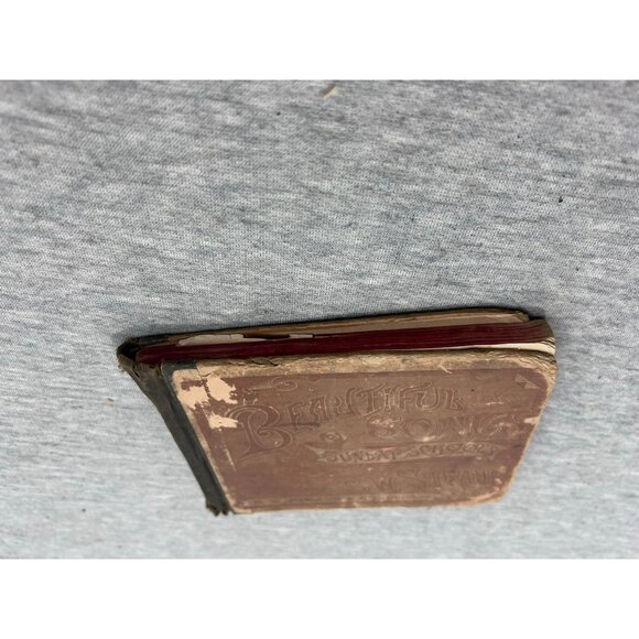 1887 BEAUTIFUL SONGS FOR SUNDAY SCHOOL S.W. STRAUB UNIVERSITY PUBLISHING - Picture 7 of 7